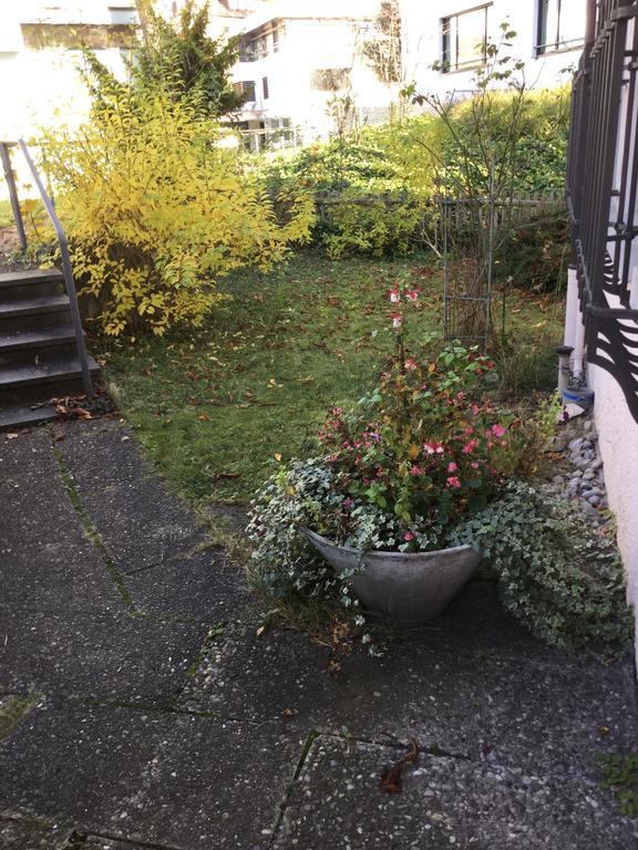 Garden Studio Apartment Zuerichberg Eksteriør billede